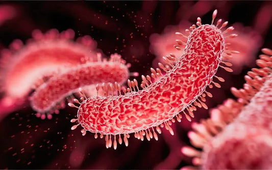 Prevenzione della Legionella negli hotel: come ridurre il rischio con una corretta pulizia e sanificazione